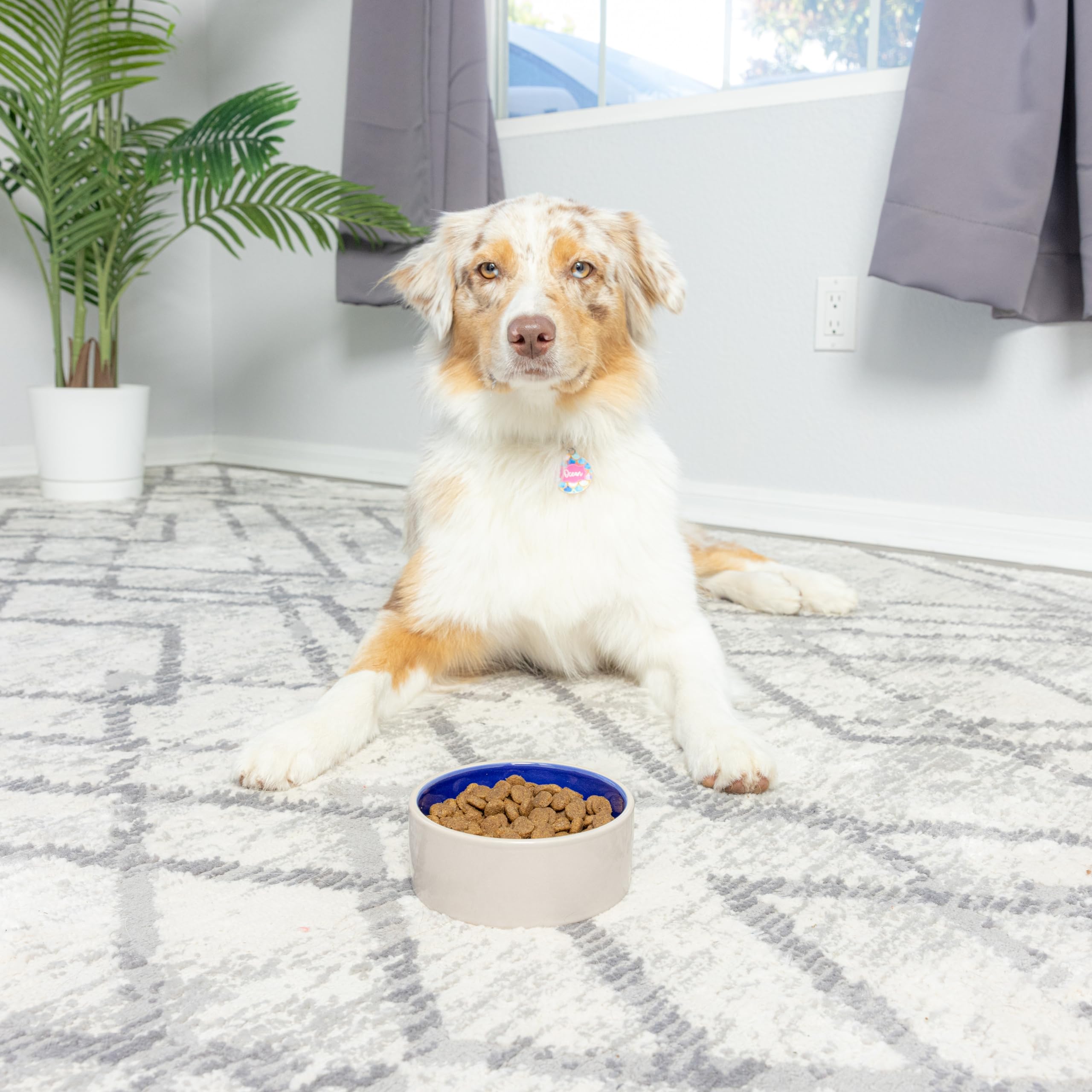 SPOT ceramic stoneware bowl sits firmly on counters during meals.