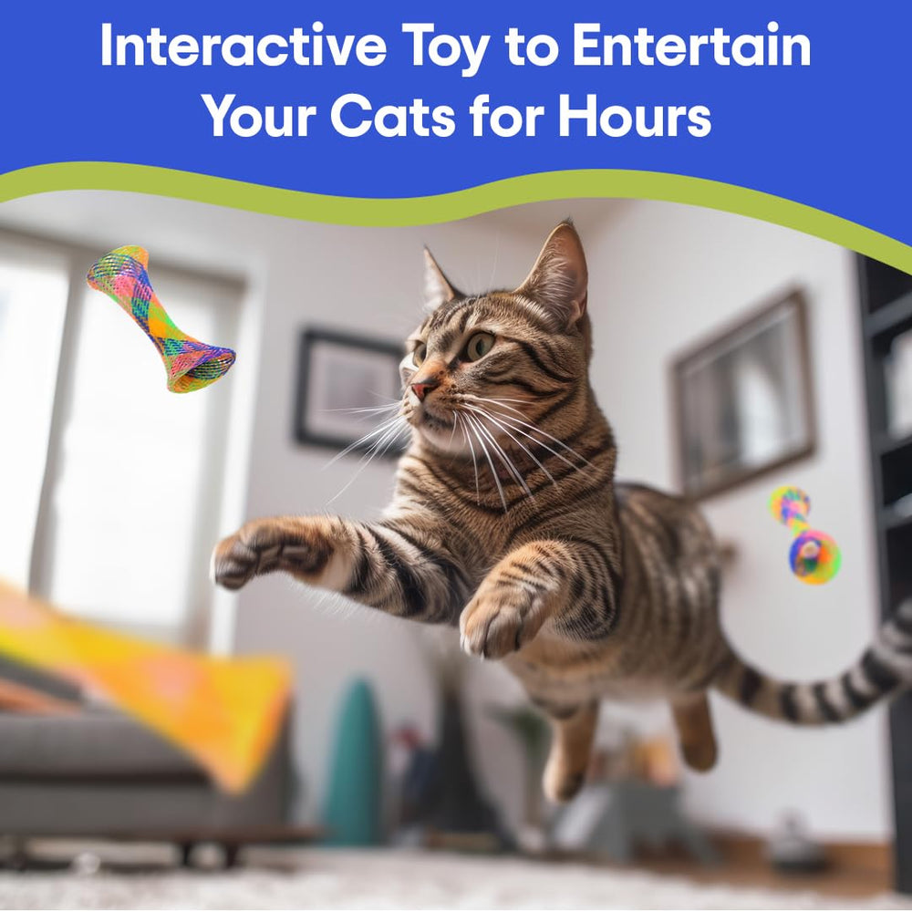 SPOT Kitty Fun Tubes bonding moment shows cats exercising together