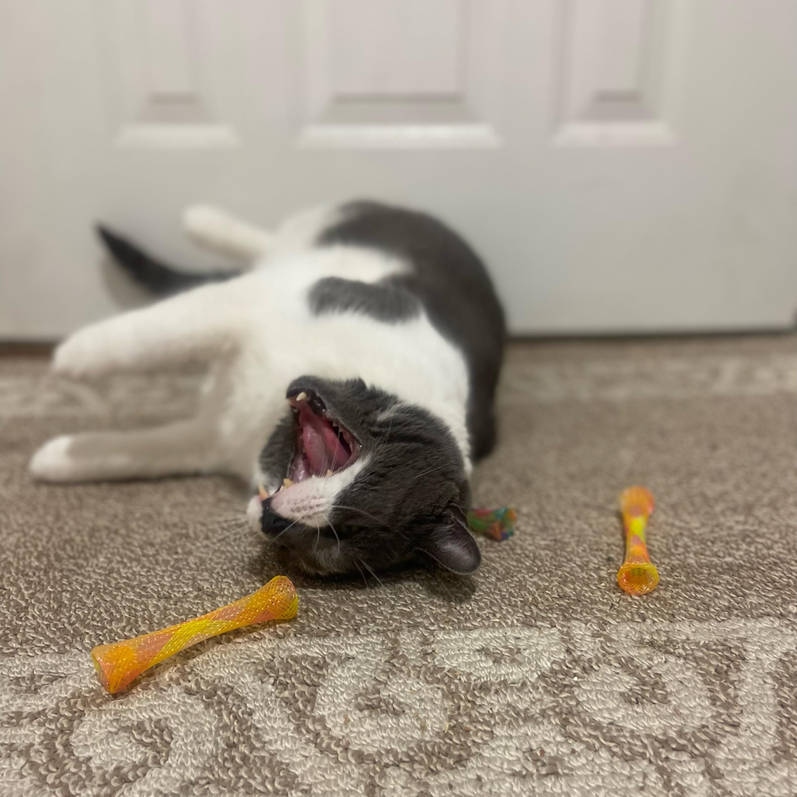 SPOT Kitty Fun Tubes closeup mesh detail highlights durable construction