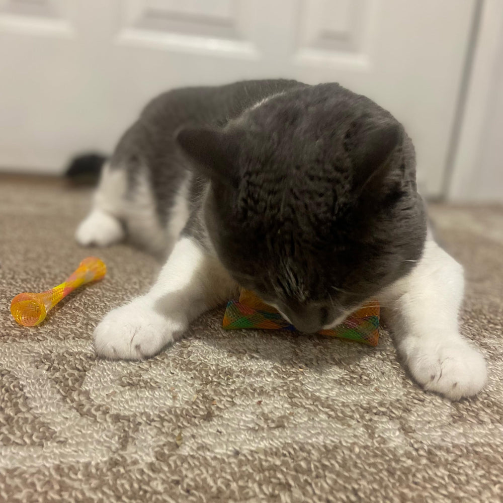 SPOT Kitty Fun Tubes packaging shot communicates value and easy gifting