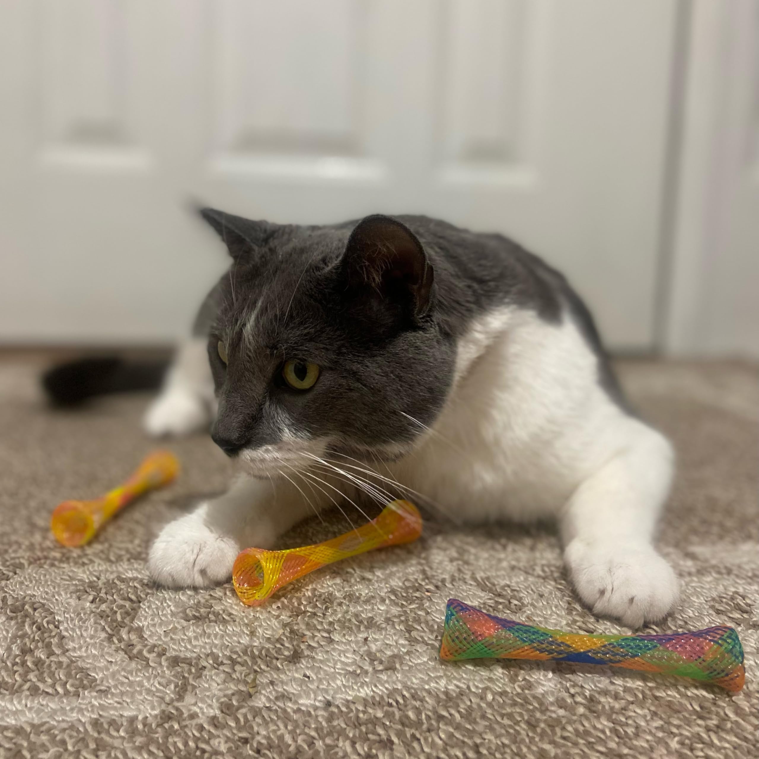 SPOT Kitty Fun Tubes varied colors image demonstrates versatile play options