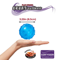 SPOT Play Strong Scent-sations in action for indoor and outdoor fetch and fun
