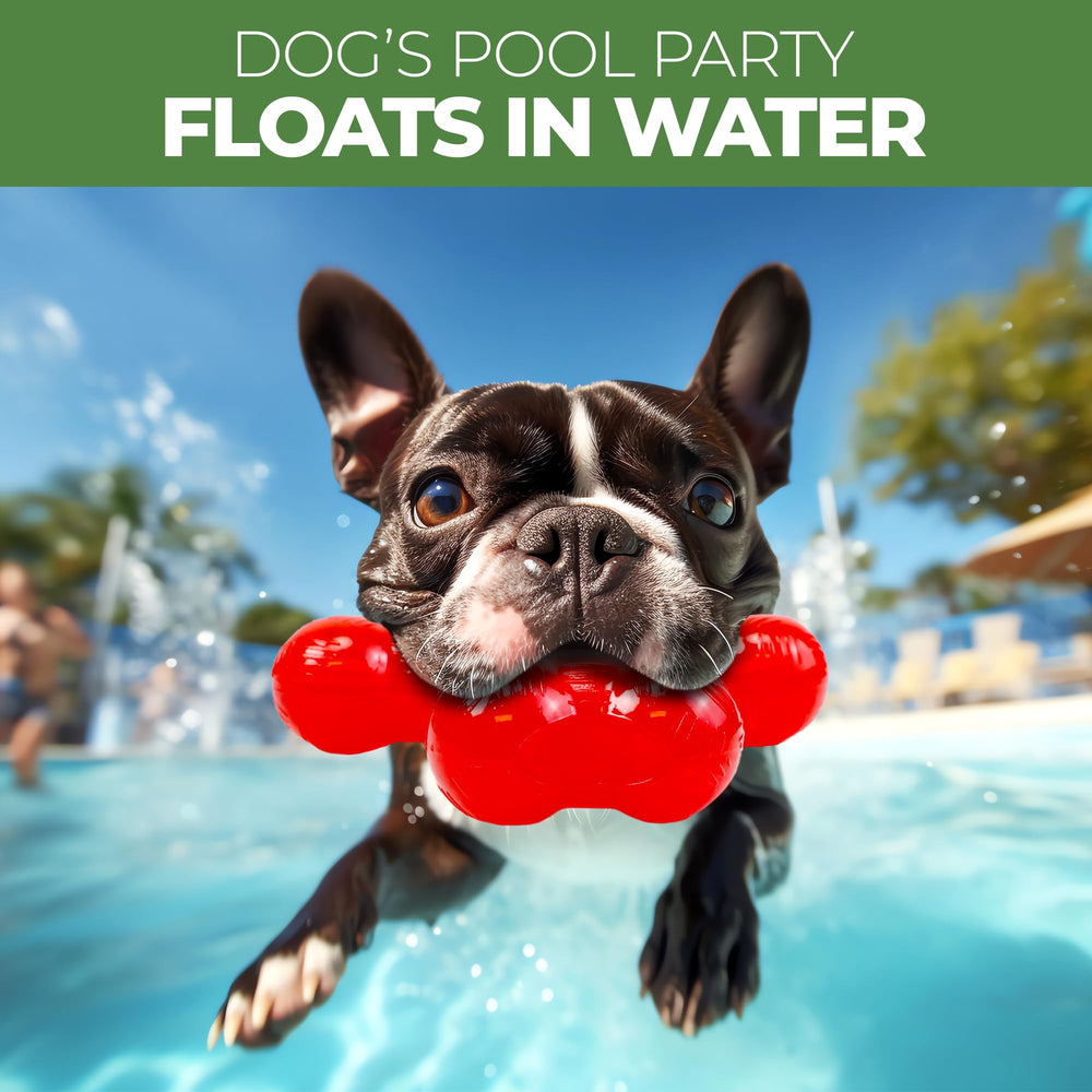 SPOT Trident Bone durable chew toy designed for large dogs