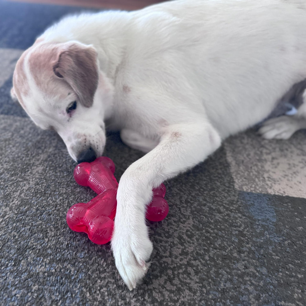 SPOT Play Strong Trident Bone treat-filled hollow center for engagement