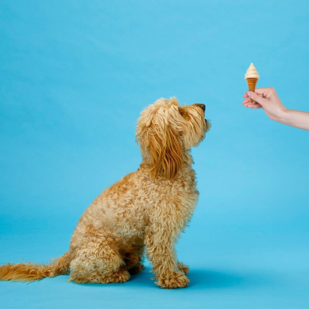 SPOT Pup Ice calcium focus highlights dental health benefits.