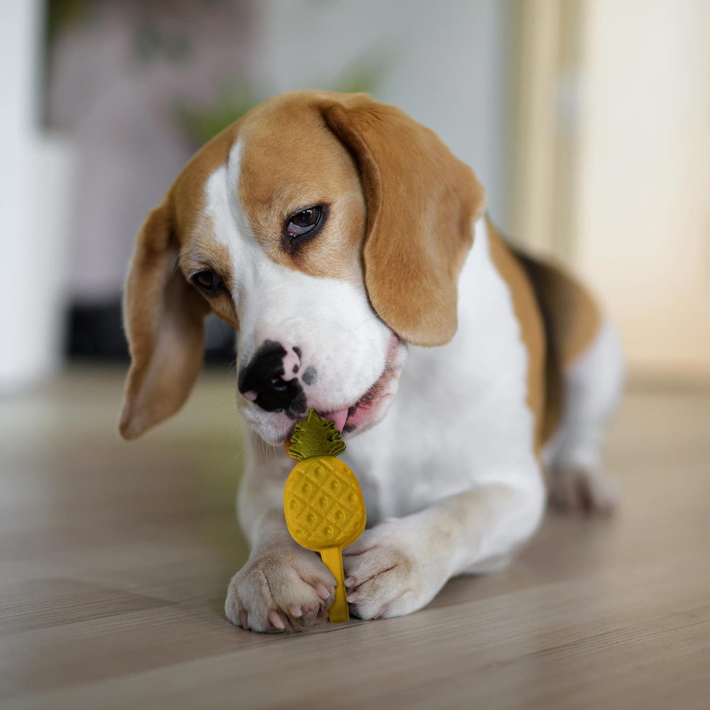 SPOT Pup Ice serves as a playful bowl-time cooling treat