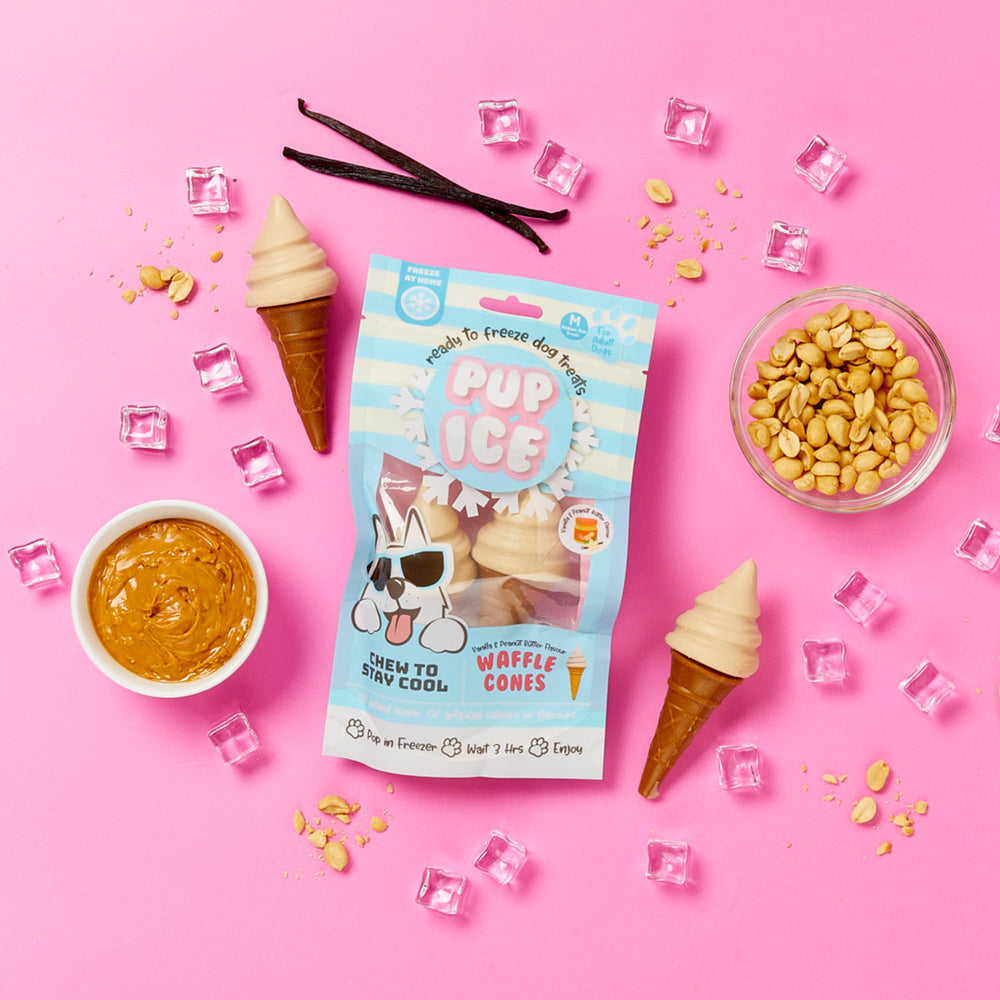 SPOT Pup Ice dog enjoying snack after walk outdoors.