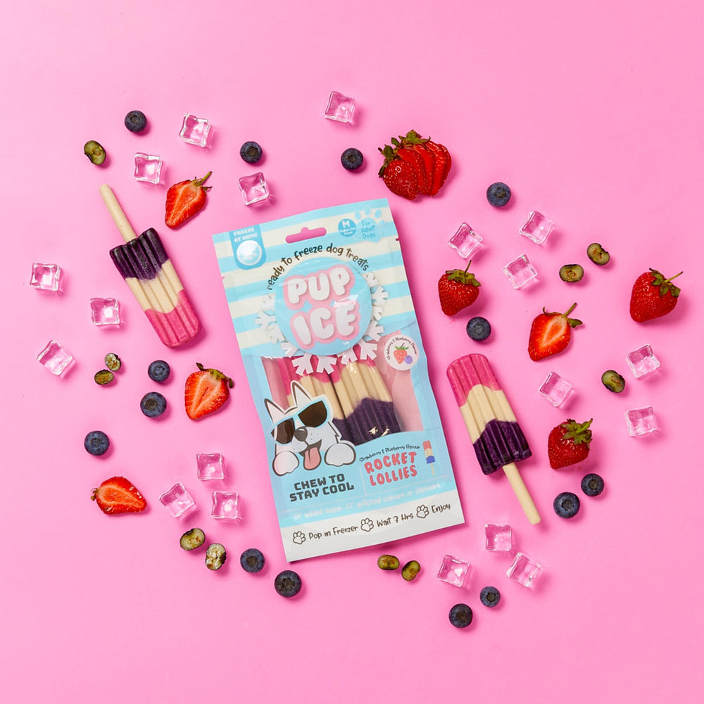 SPOT Pup Ice dog enjoying a frozen treat, perfect for cooling moments.