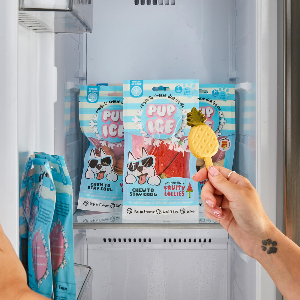 SPOT Pup Ice edible-stick and cone for a safe snack