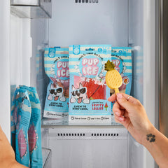 SPOT Pup Ice edible-stick and cone for a safe snack