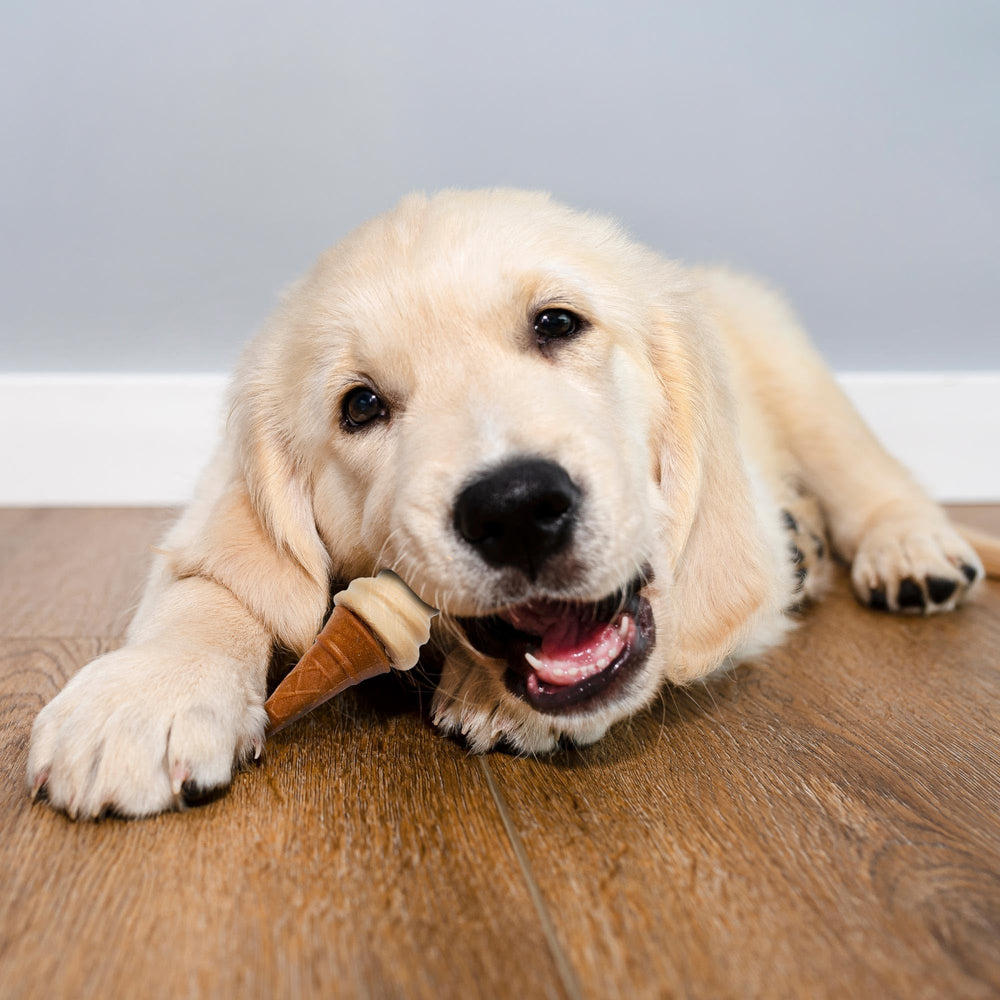 SPOT Pup Ice edible stick detail emphasizes safe chewing.