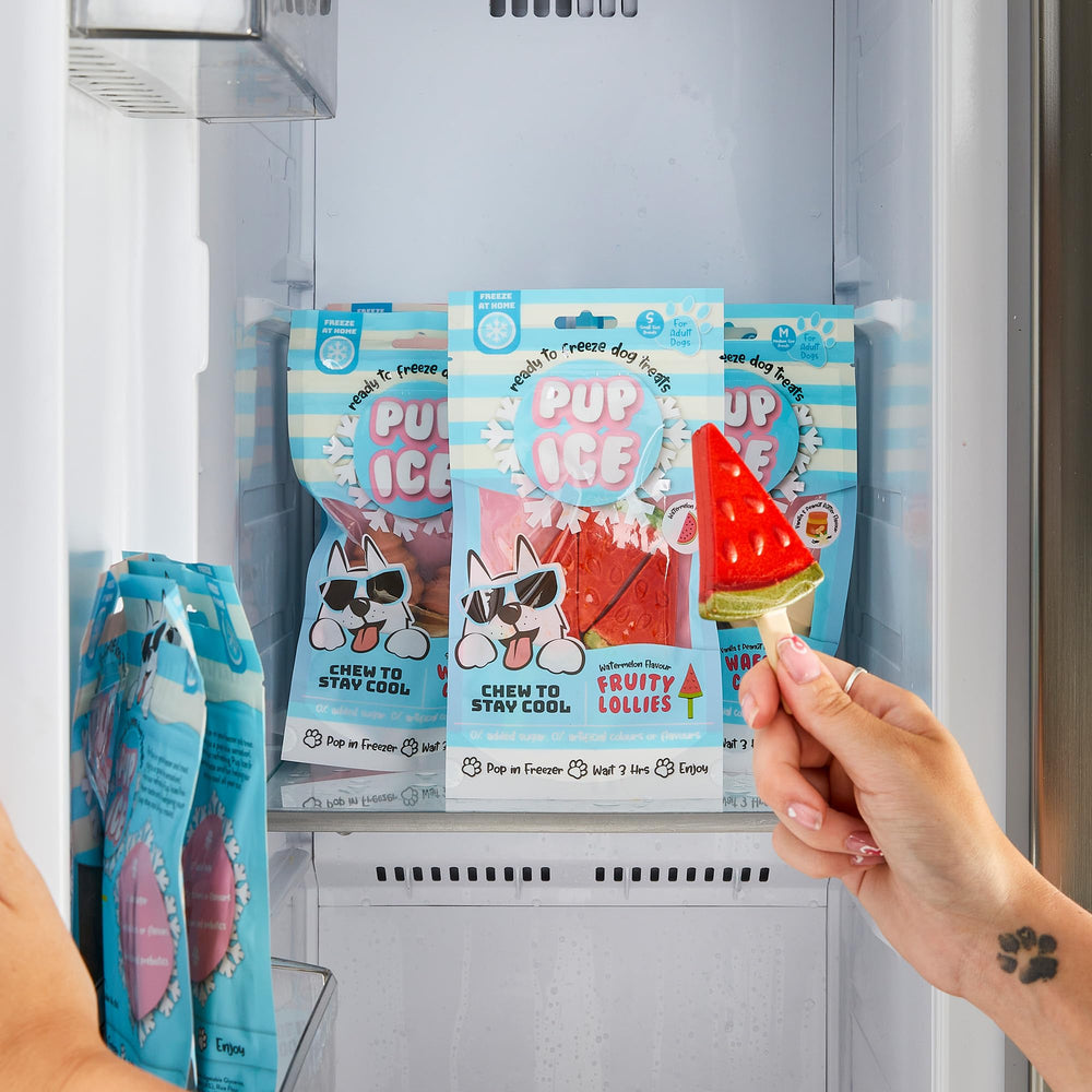 SPOT Pup Ice Watermelon flavor image adds fruity variety for pups.