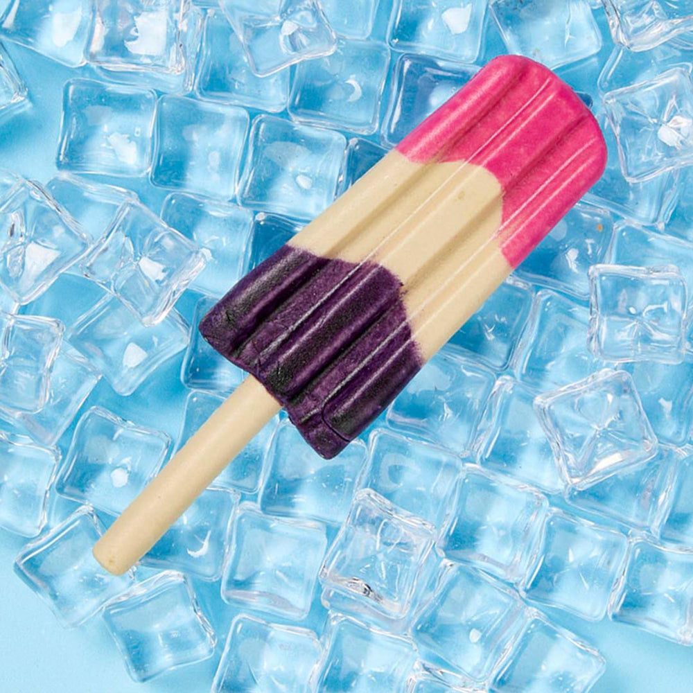 SPOT Pup Ice prebiotic blend close-up supports digestion in dogs.