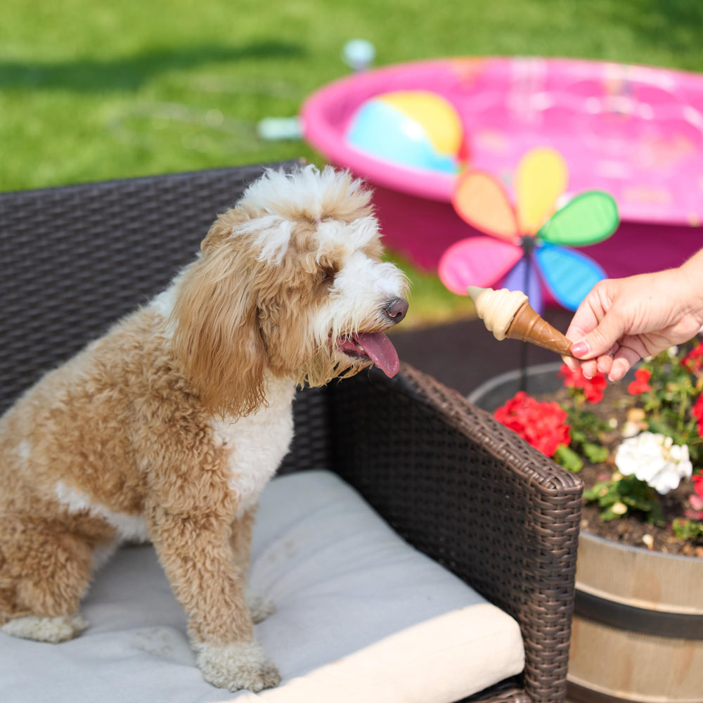SPOT Pup Ice shapes variety demonstrates varied forms for boredom relief.