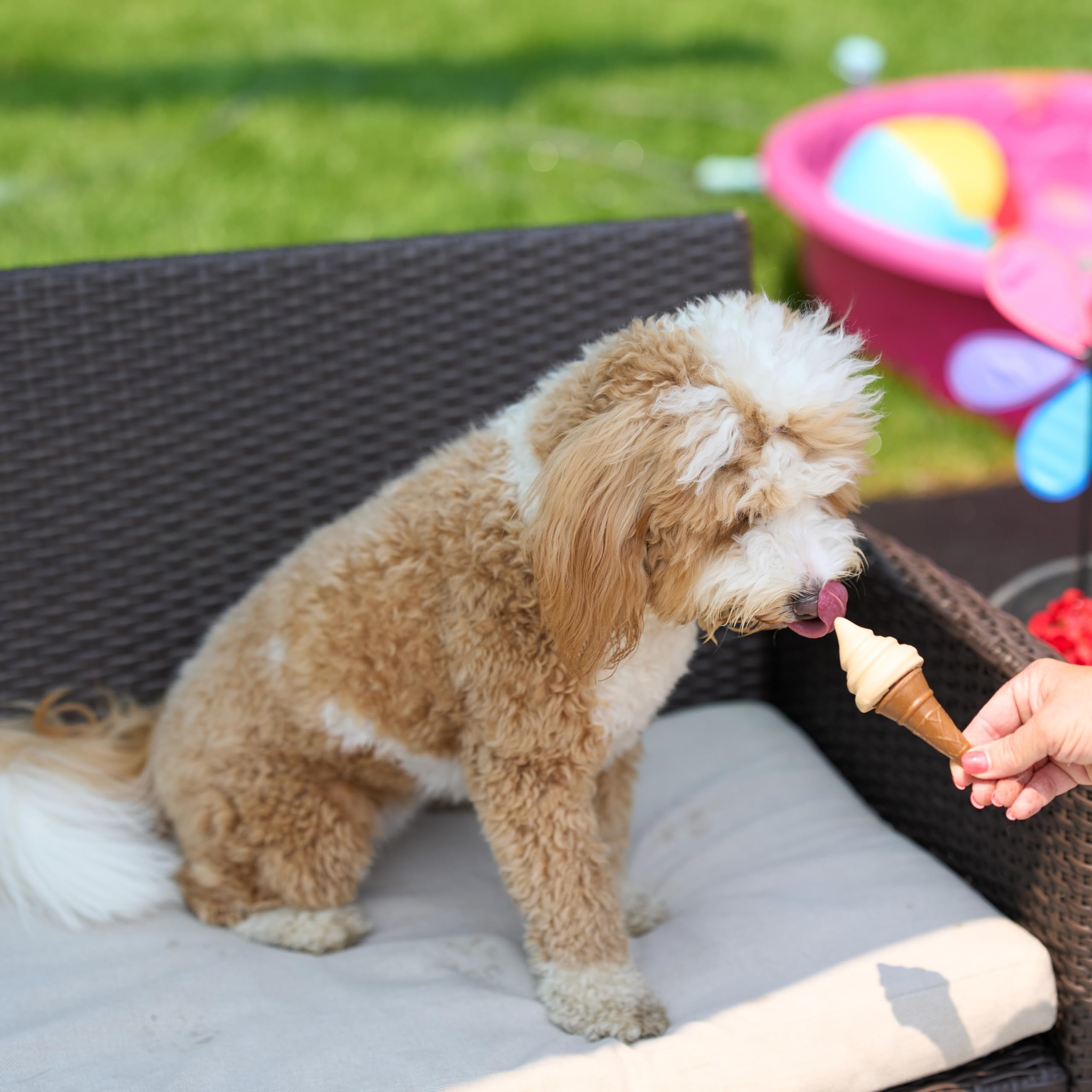 SPOT Pup Ice storage/freezer scene shows how to store safely.