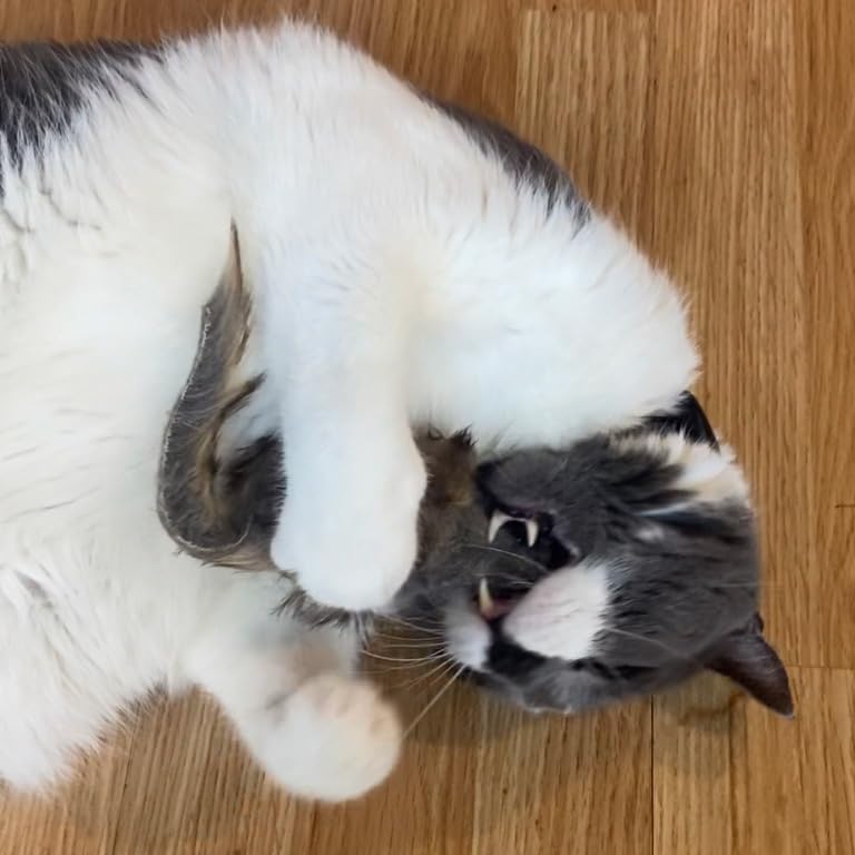 SPOT Shaggy Plush Giant Mouse durable design for hours of play