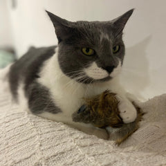 SPOT Shaggy Plush Giant Mouse pouncing action captured for dynamic play sessions