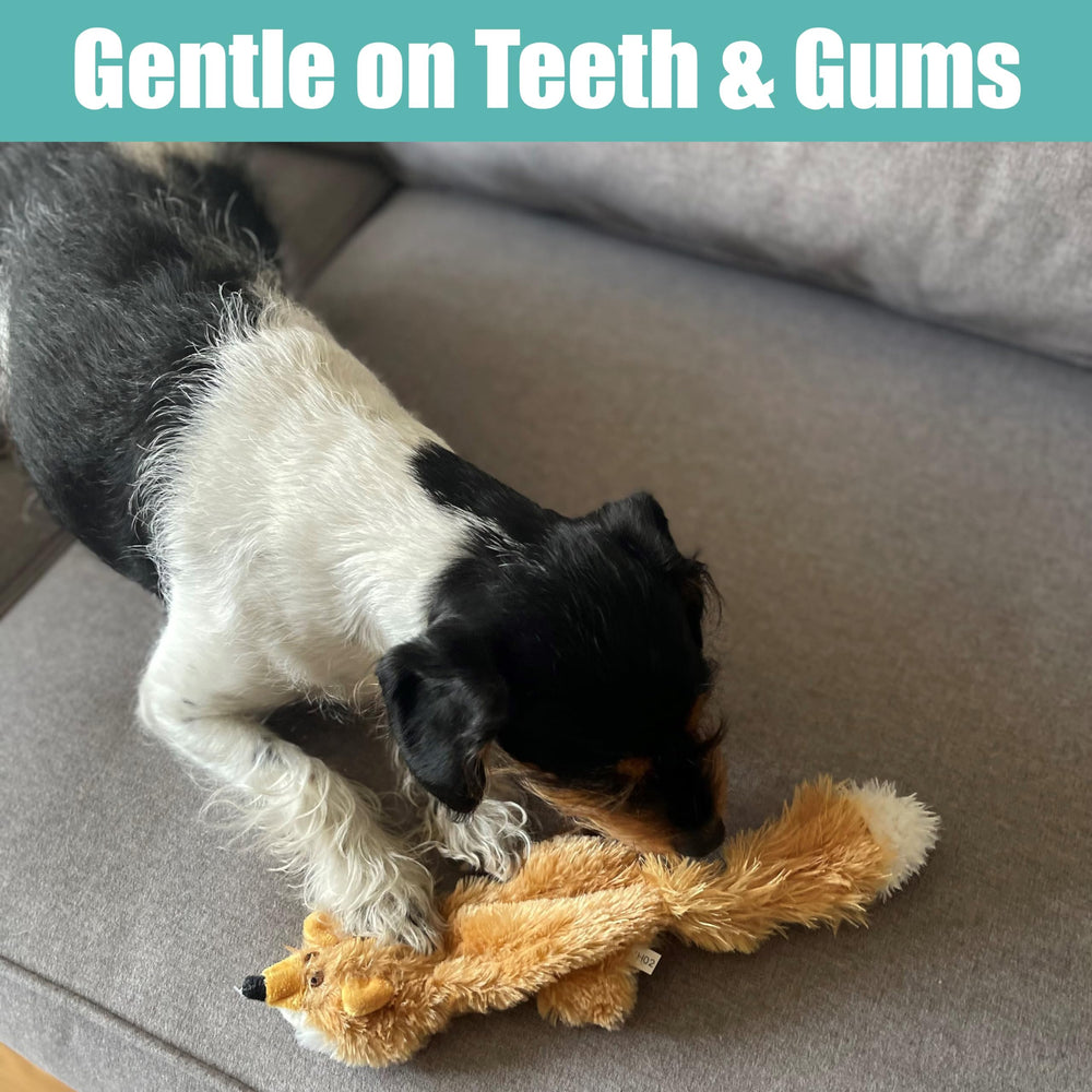 SPOT Skinneeez Fox dog-carry scene shows lightweight plush for easy carry.