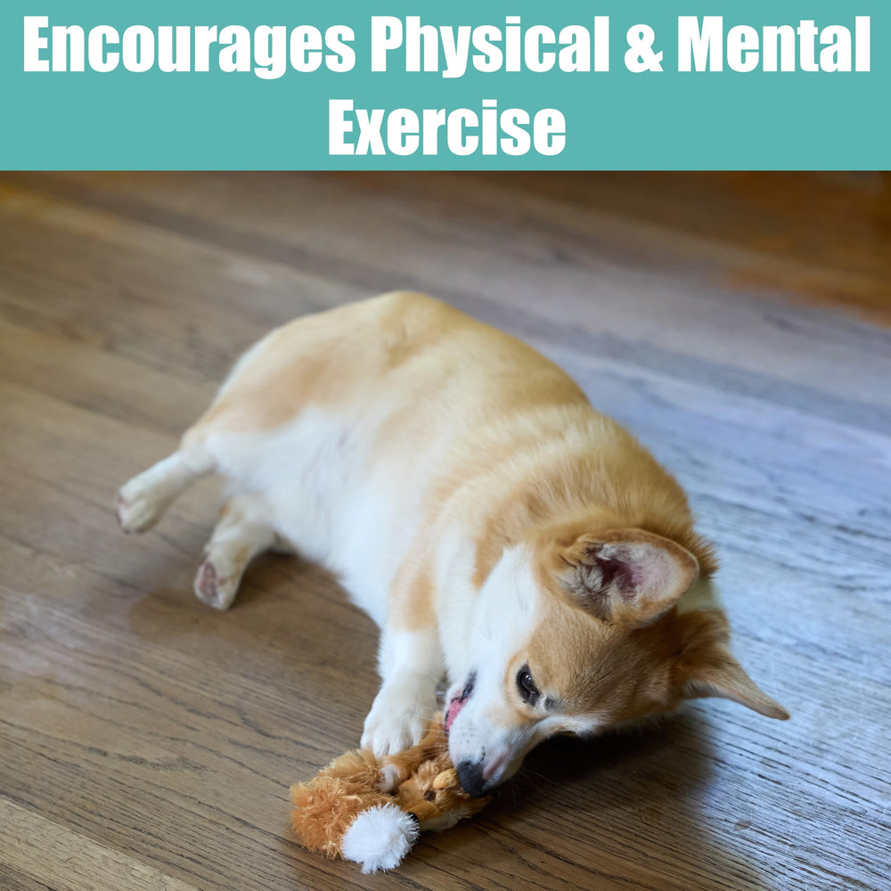 SPOT Skinneeez Fox dog-interaction captures hunting-instinct-inspired play.