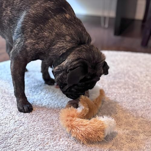 SPOT Skinneeez Fox floor-play shows squeaky entertainment on indoor surfaces.