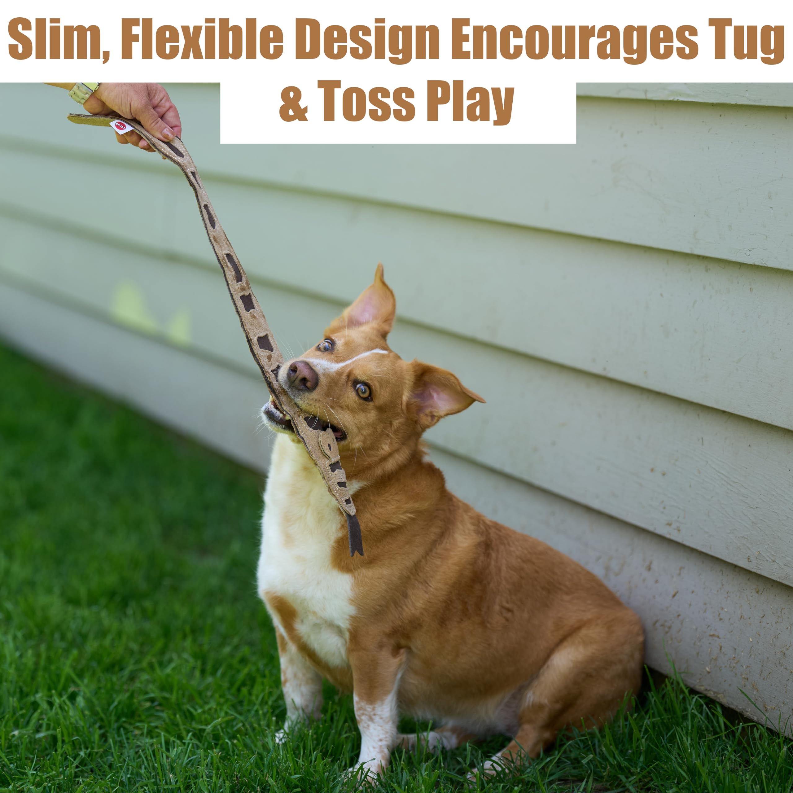 SPOT Leather Snake extra-long shape supports tossing, shaking, and carrying.