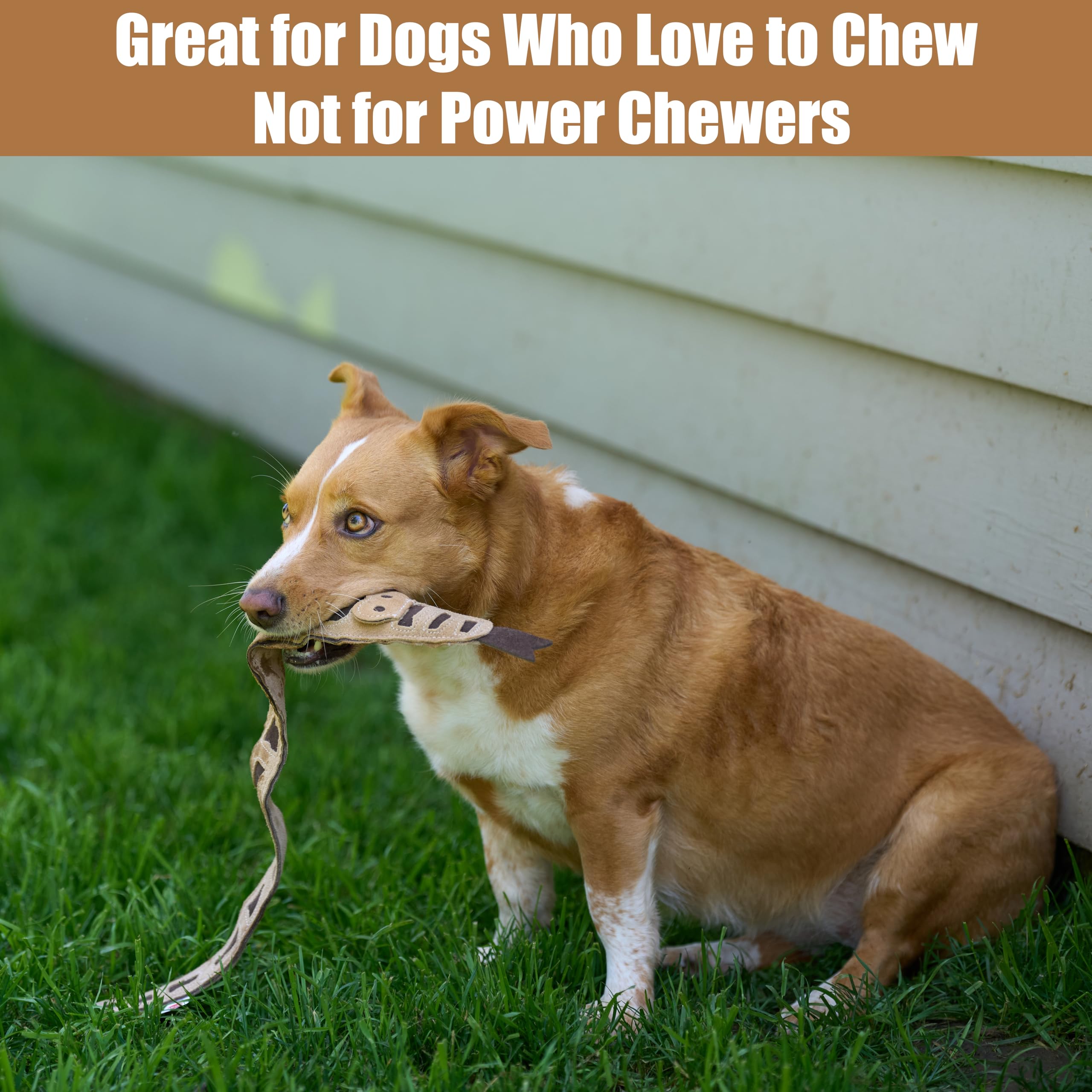 SPOT Skinneeez Leather Snake suits indoor or outdoor interactive play.