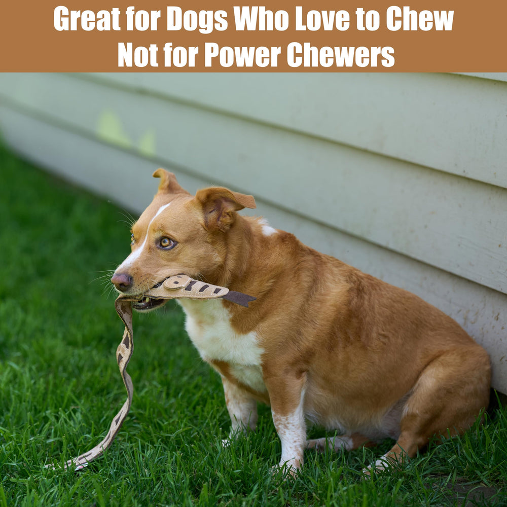 SPOT Skinneeez Leather Snake suits indoor or outdoor interactive play.