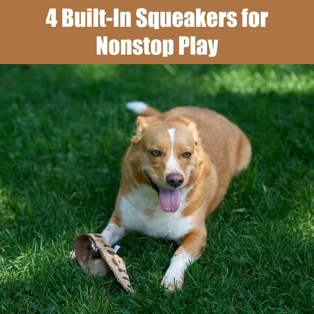 SPOT Leather Snake designed for light to moderate chewers with supervision.