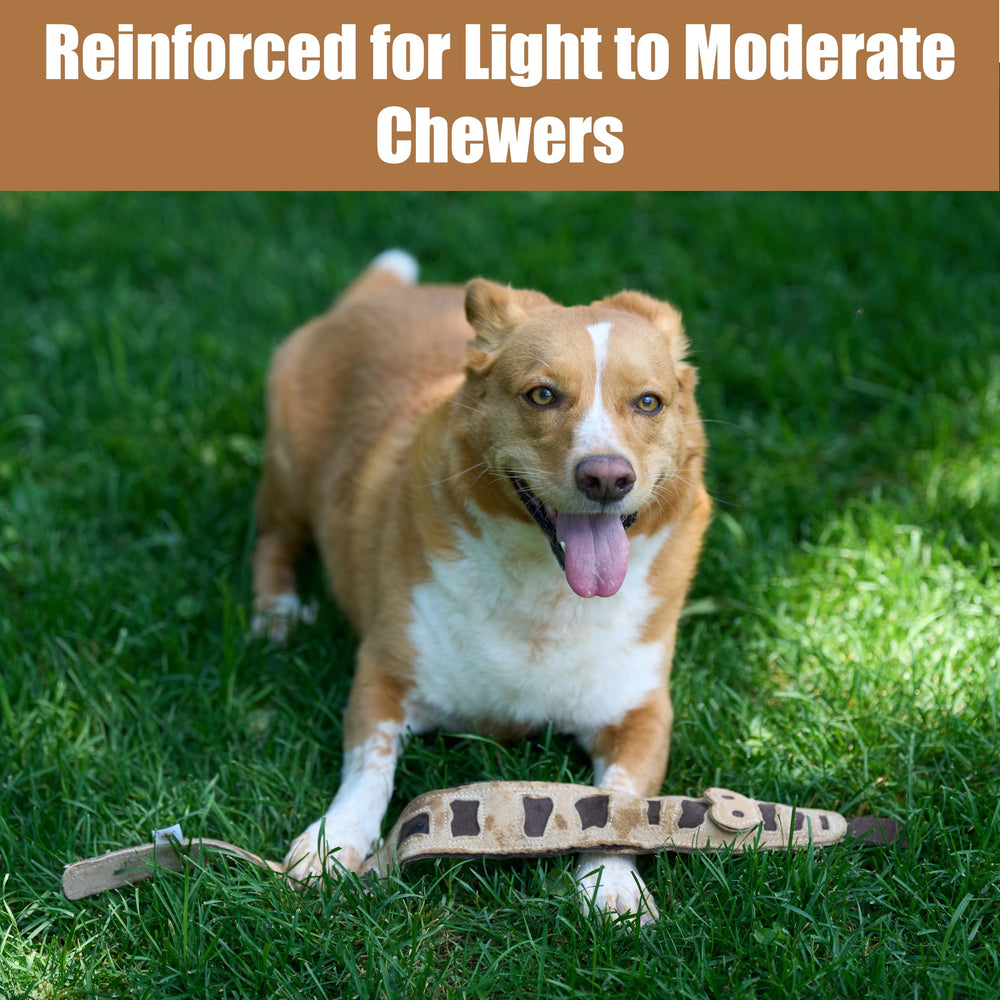 SPOT Skinneeez Leather Snake fits medium and large dogs for tug sessions.