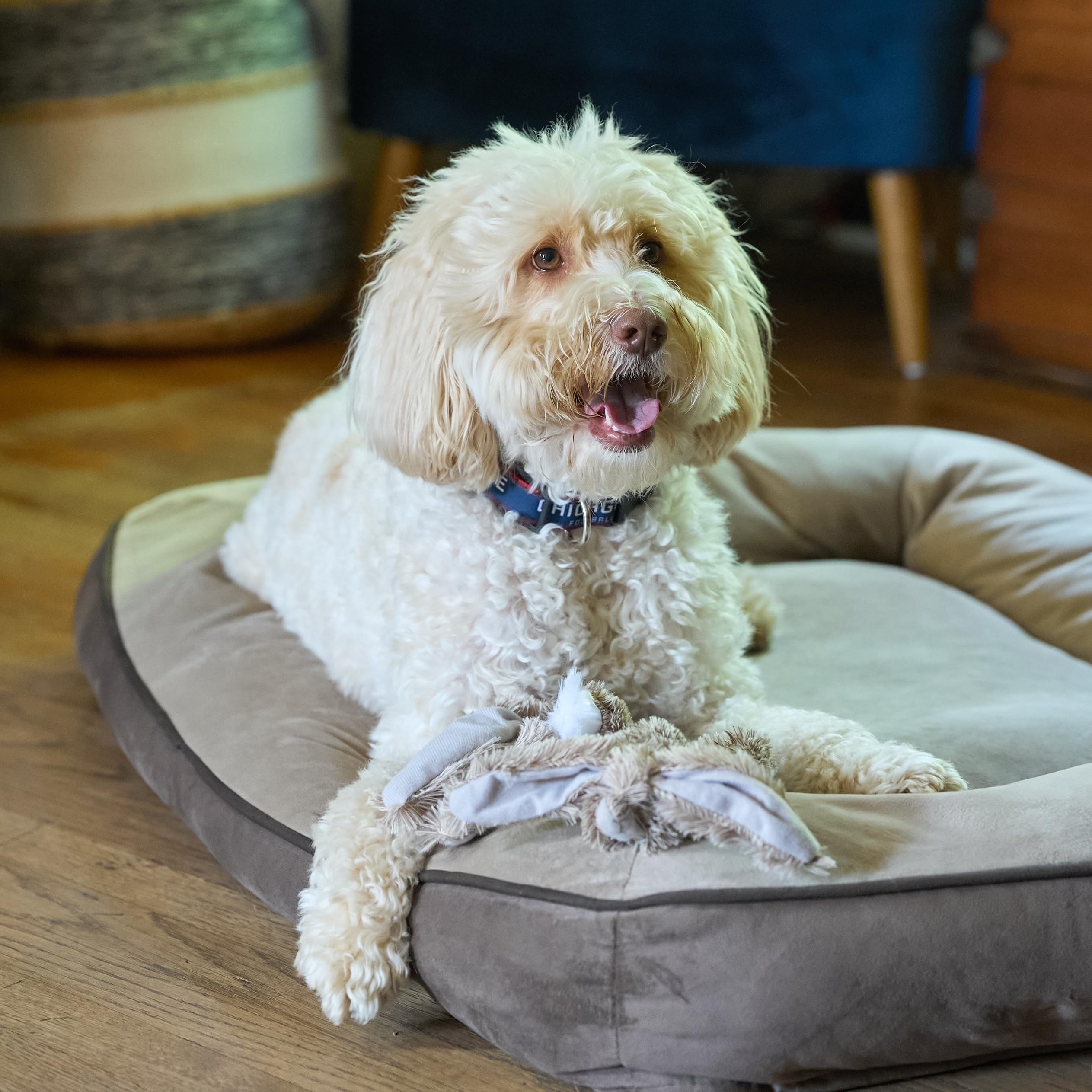 SPOT Skinneeez Rabbit 22-inch mess-free design reduces cleanup time.