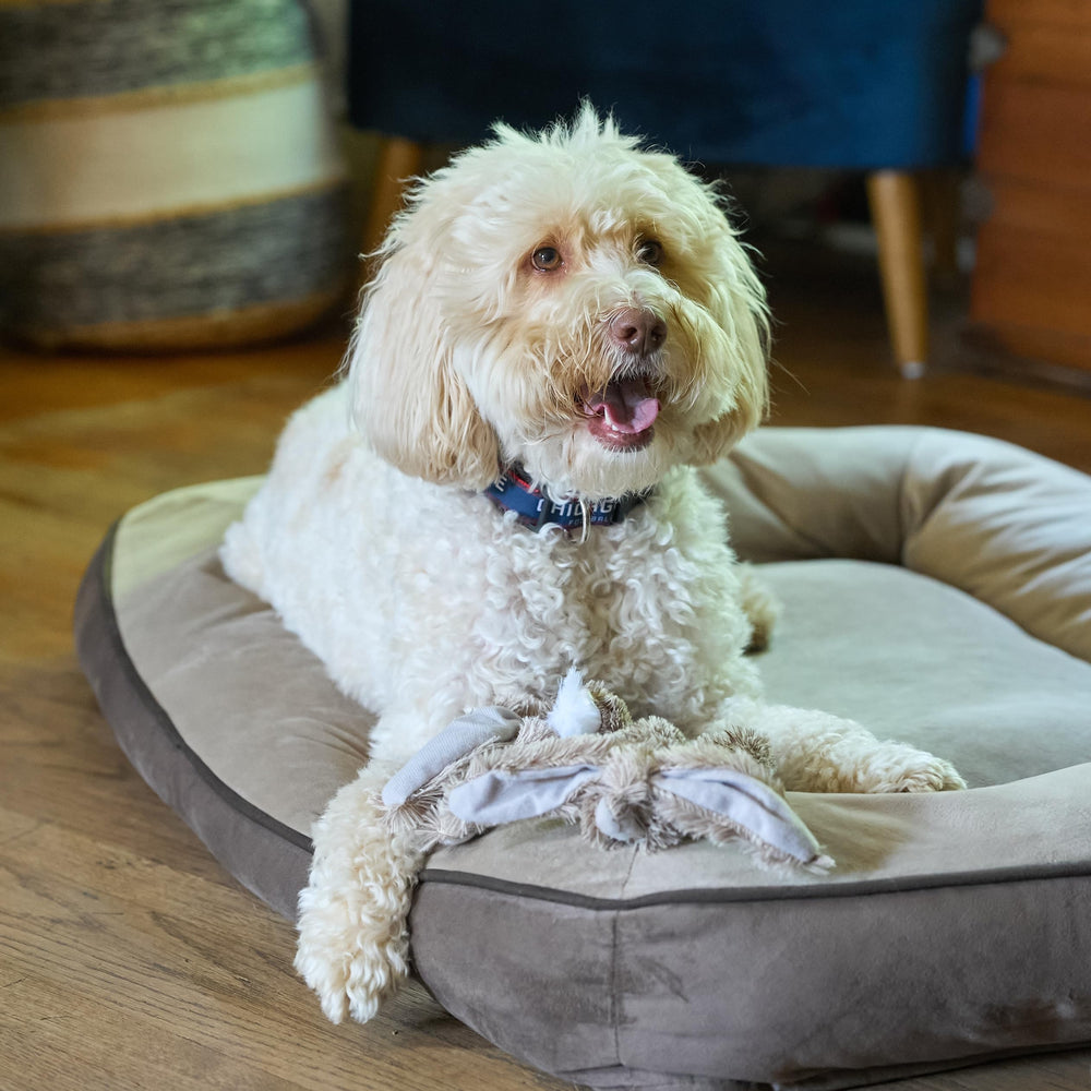 SPOT Skinneeez Rabbit 22-inch mess-free design reduces cleanup time.