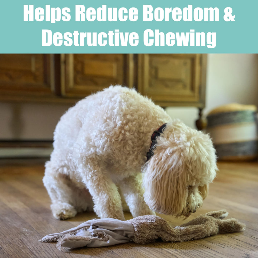 SPOT Skinneeez Rabbit 22-inch outdoor play in the yard.