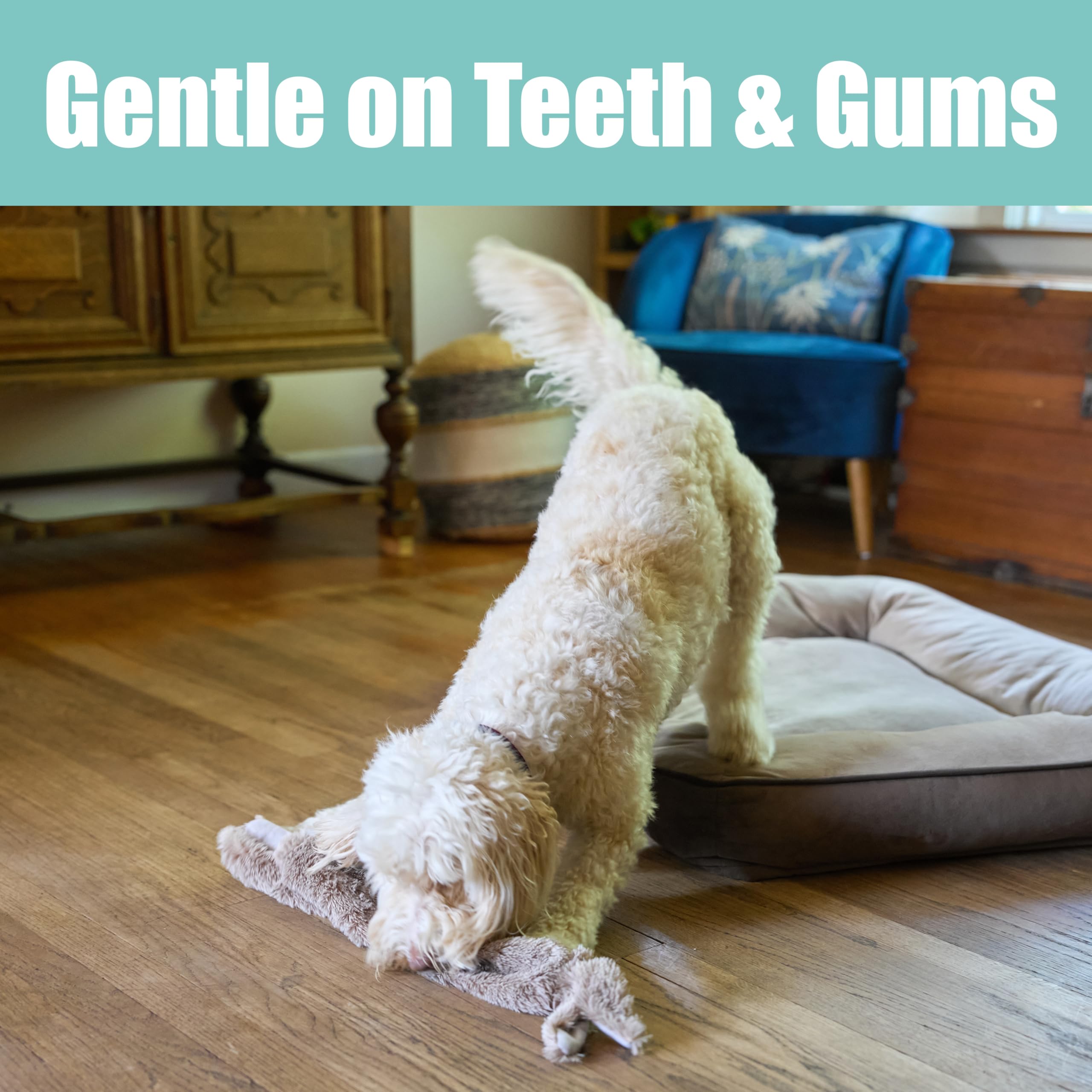 SPOT Skinneeez Rabbit 22-inch tail-squeaker close-up highlighting double squeak fun.