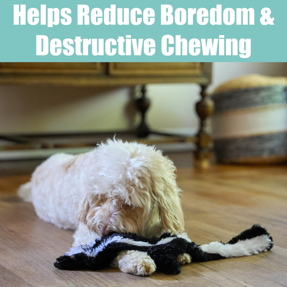SPOT Skinneeez Skunk suitable for medium to large dogs during tug or fetch.