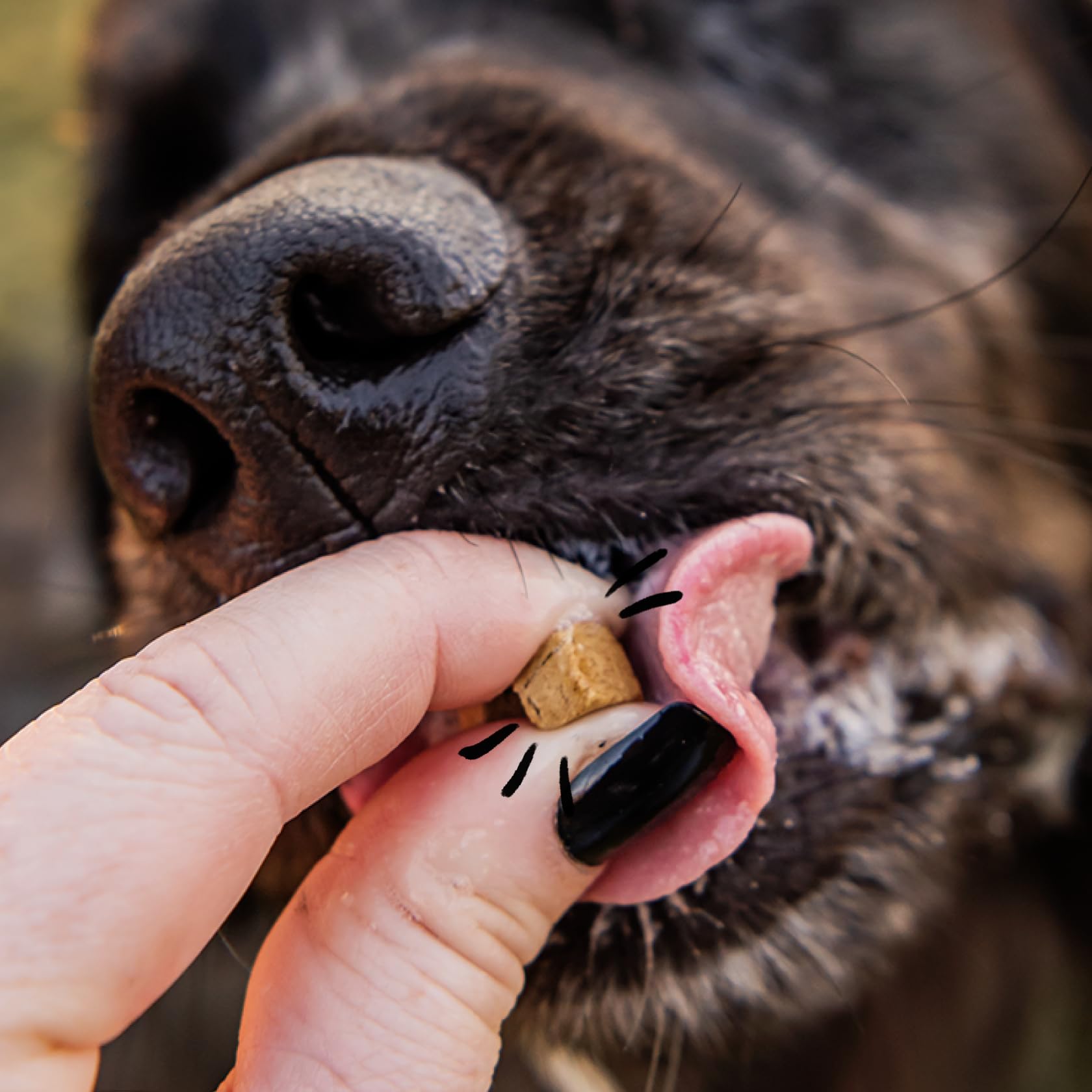 Spot & Tango beef liver treats ingredient image showing 100% beef liver, freeze-dried.