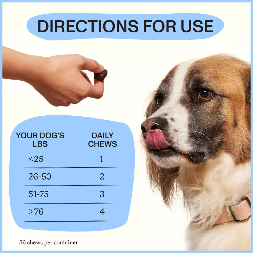 Spot & Tango pineapple-flavored chews for easy daily supplementation