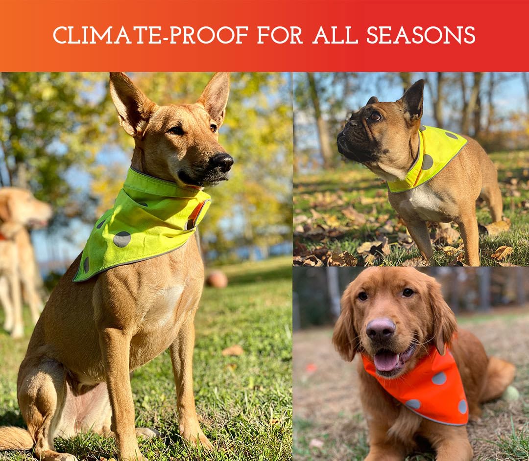 Spot The Dog! orange reversible side enhances visibility during low-light strolls.