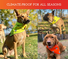 Spot The Dog! orange reversible side enhances visibility during low-light strolls.