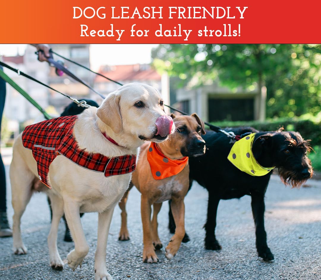 Spot The Dog! yellow reversible side boosts visibility for daytime walks.