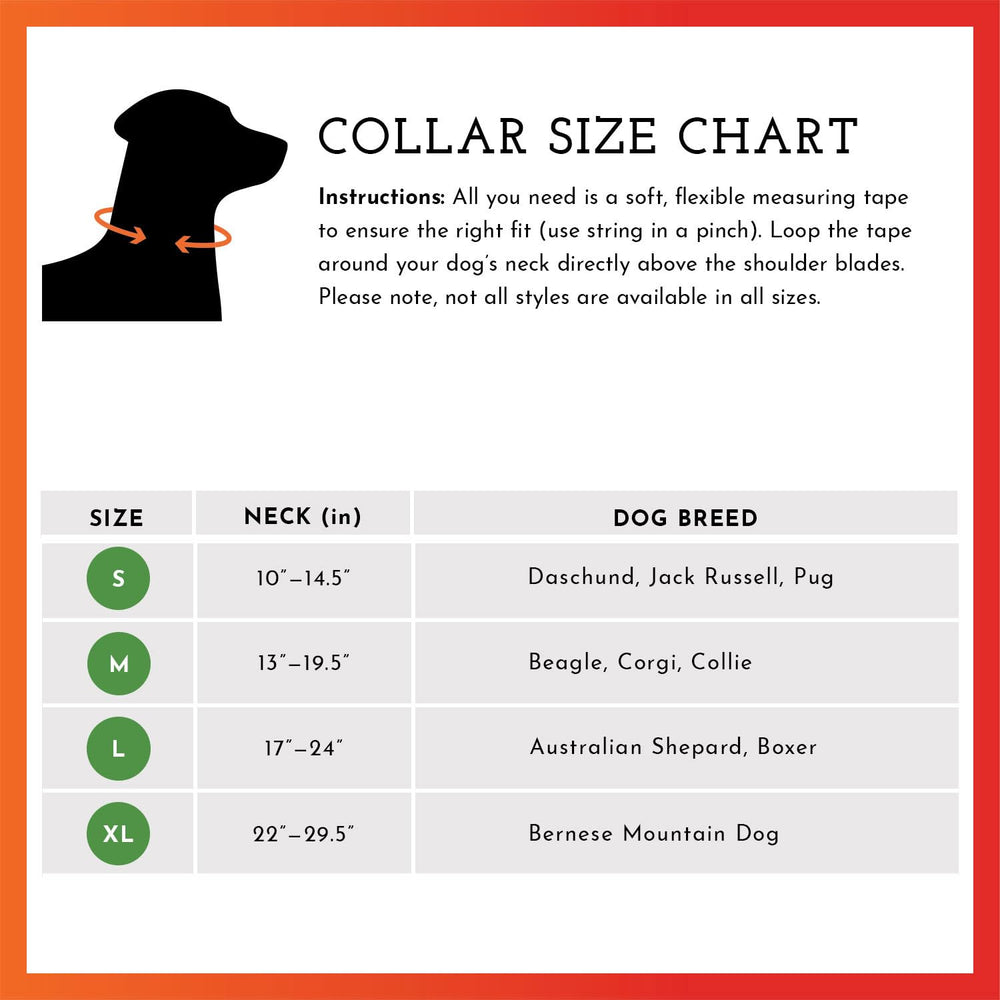 SPOT THE DOG! Reflective collar fluorescent orange view emphasizes day-to-night visibility.