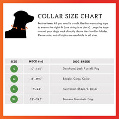 SPOT THE DOG! Reflective collar fluorescent orange view emphasizes day-to-night visibility.