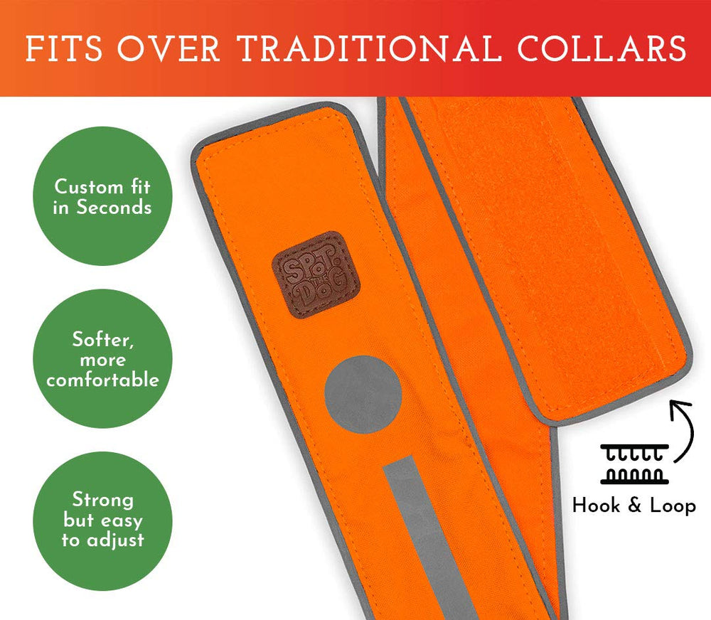 SPOT THE DOG! Reflective collar easy-care closeup communicates simple cleaning tips.