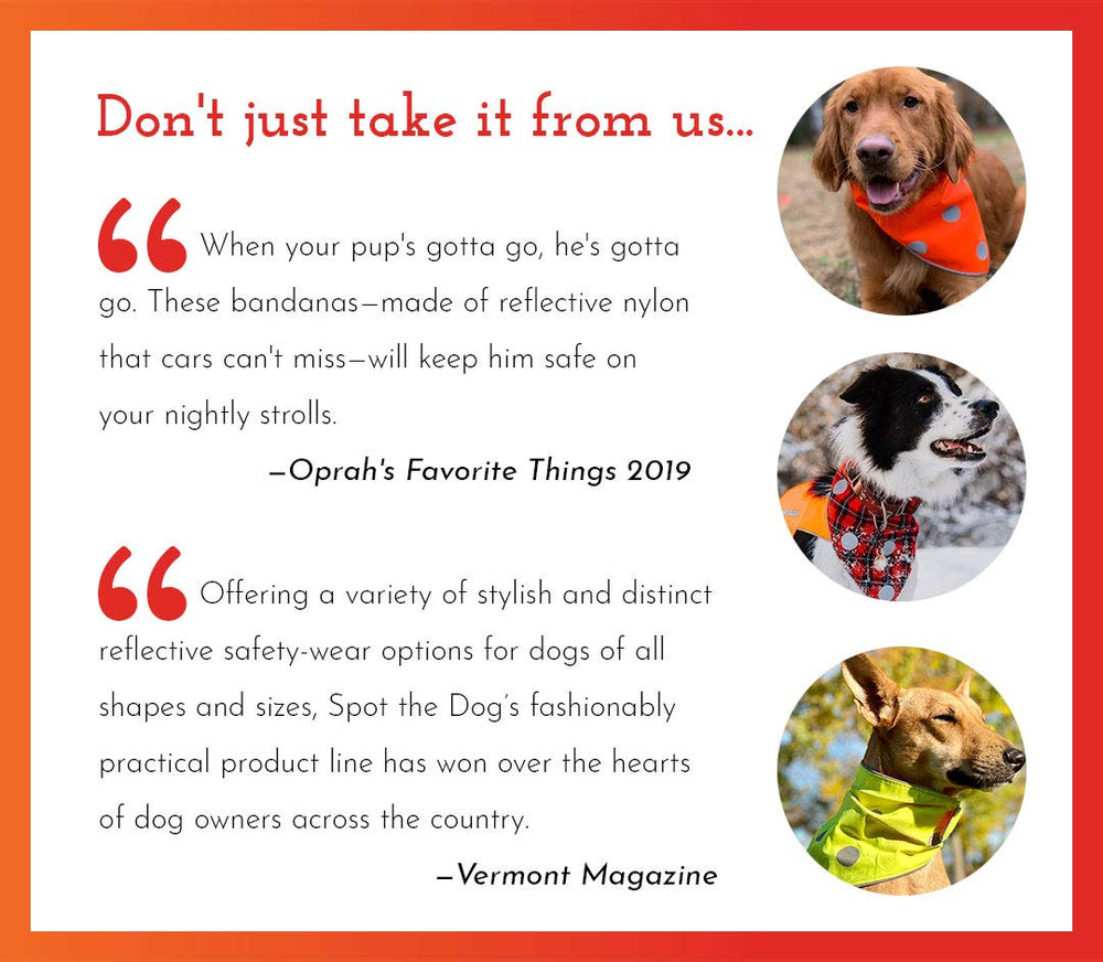 SPOT THE DOG! Reflective collar size-chart image helps choose the right fit.