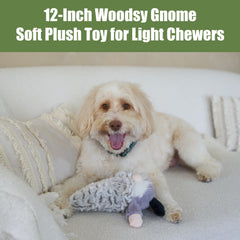 SPOT Woodsy Gnome 12-inch size feature for medium and large dogs.