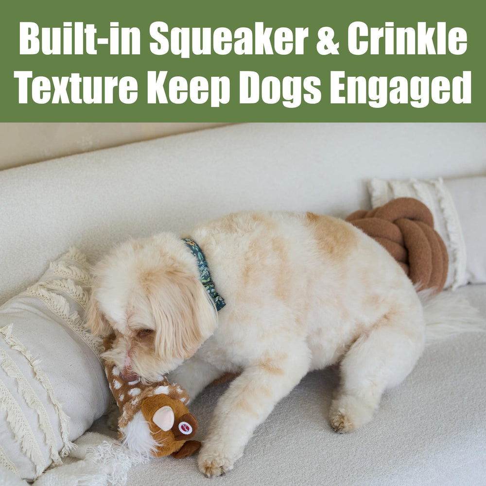 SPOT Woodsy Gnome assorted colors showcase playful personality for dogs.