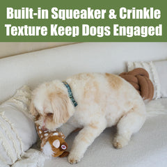 SPOT Woodsy Gnome assorted colors showcase playful personality for dogs.