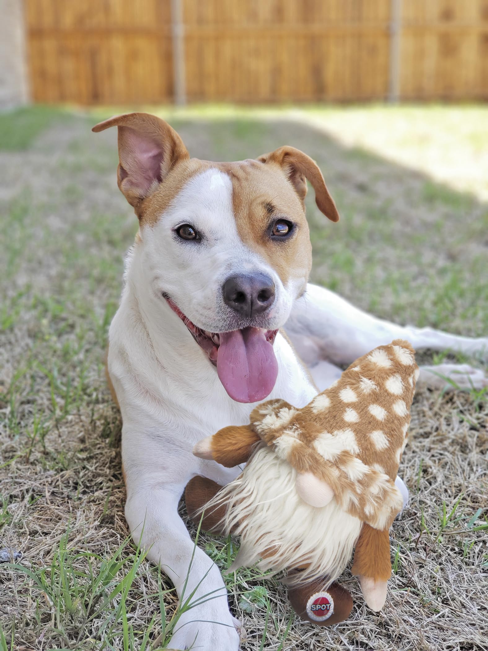 SPOT Woodsy Gnome bedtime companion ideal for cuddling and soft play.