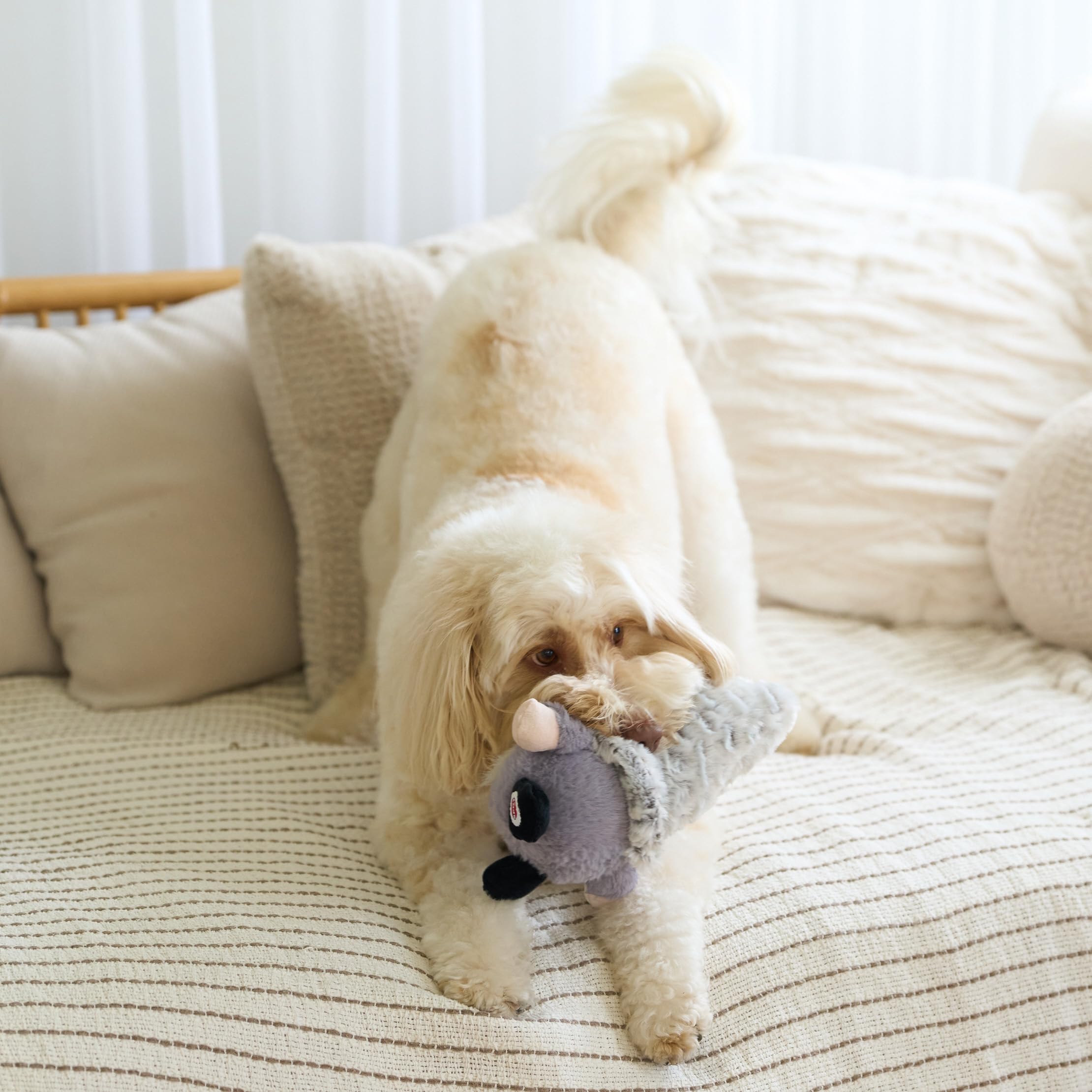 SPOT Woodsy Gnome fetch-ready design for light tossing indoors.