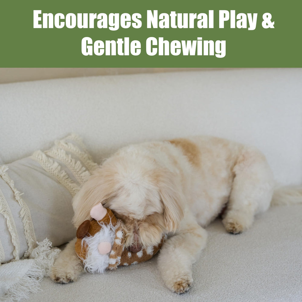 SPOT Woodsy Gnome toy designed for gentle dogs and puppies.