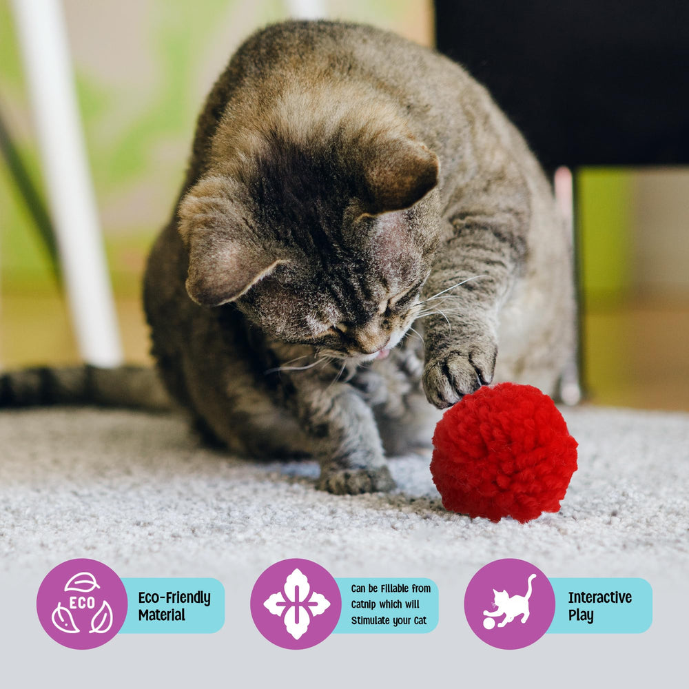 SPOT Wool Pom Poms bounce action demonstrates cats chasing and pouncing for fun.
